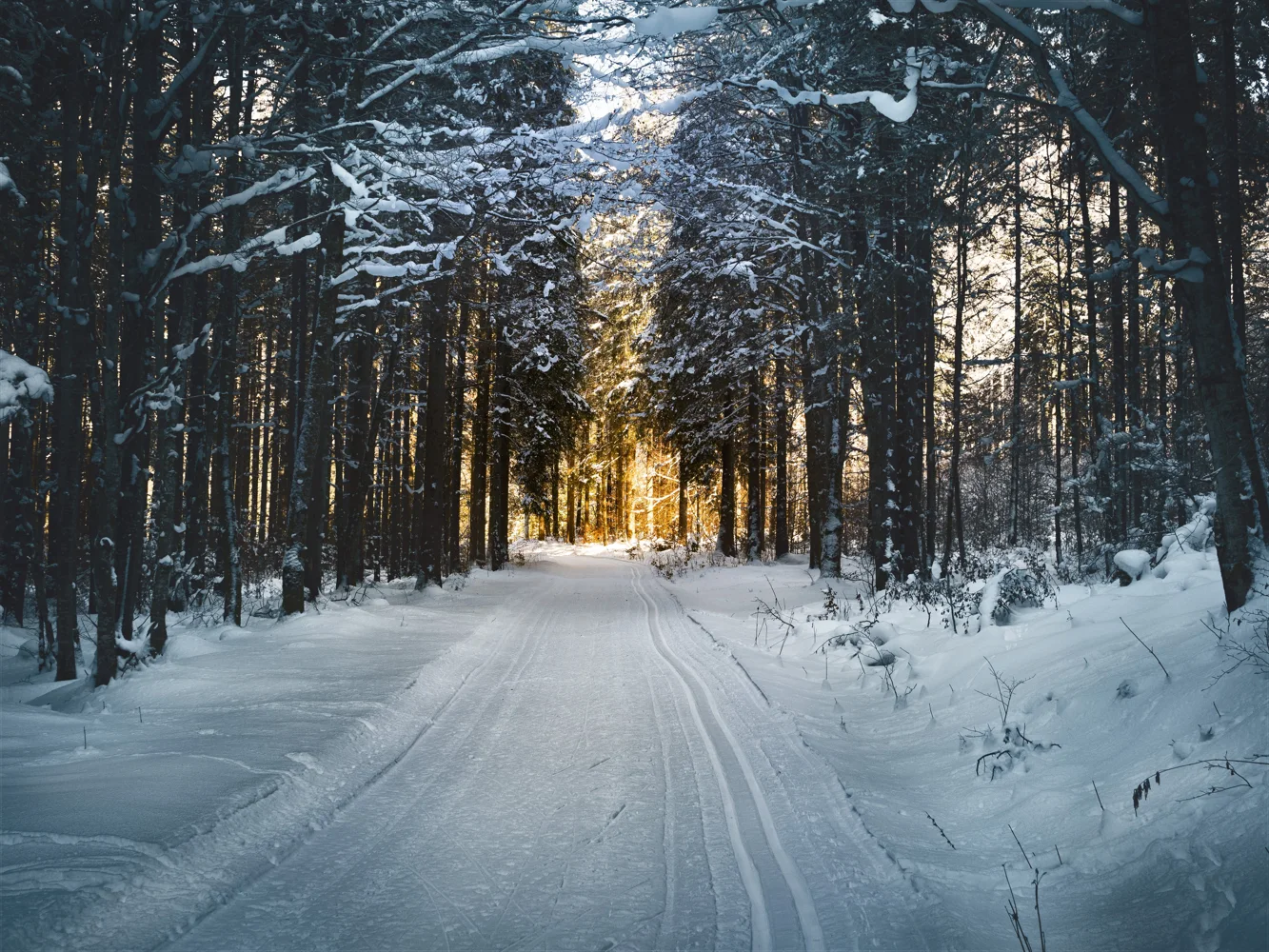 E-Auto im Winter: Reichweite realistisch planen